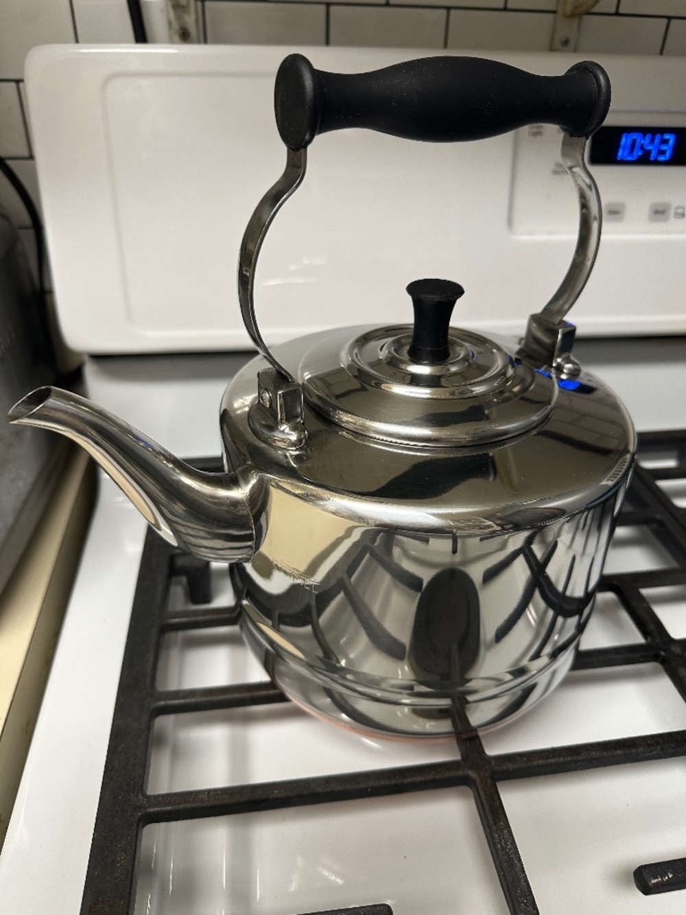 BonJour 2 Qt Stainless Steel Gooseneck Tea Kettle Copper Bottom Q22C